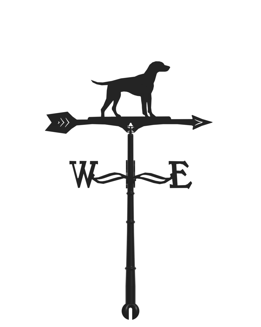 Pointer Weathervane